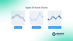 انواع چارت در فارکس